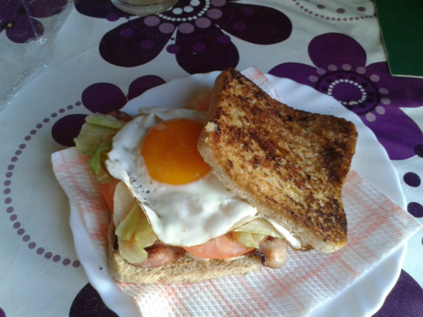 sándwich sano y sabroso