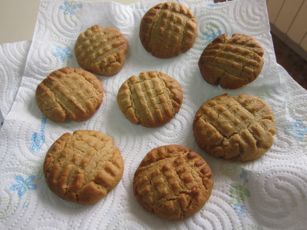 GALLETAS DE MANTECA DE CACAHUETE