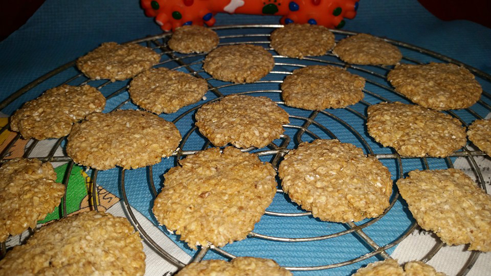 GALLETAS DE AVENA AL MICROONDAS APTOS PARA MASCOTAS