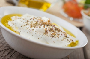 receta Jocoque