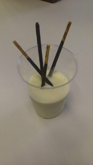 receta CREMA DE YOGUR CON LIMON
