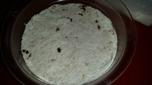 receta QUESO FRESCO CASERO CON TOMATE SECO Y PIÑONES